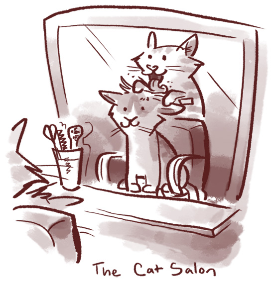 cat salon
